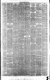 Runcorn Guardian Saturday 10 June 1876 Page 3