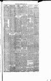 Runcorn Guardian Wednesday 10 April 1878 Page 3
