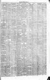 Runcorn Guardian Saturday 22 June 1878 Page 3