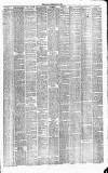 Runcorn Guardian Saturday 13 July 1878 Page 3