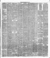 Runcorn Guardian Saturday 20 July 1878 Page 5