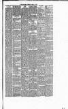 Runcorn Guardian Wednesday 25 February 1880 Page 3