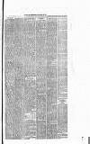 Runcorn Guardian Wednesday 29 January 1879 Page 3