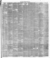 Runcorn Guardian Saturday 19 April 1879 Page 5