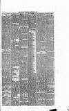 Runcorn Guardian Wednesday 24 December 1879 Page 5