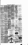Runcorn Guardian Wednesday 24 December 1879 Page 7