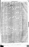 Runcorn Guardian Saturday 31 January 1880 Page 3