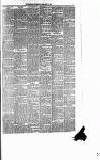 Runcorn Guardian Wednesday 11 February 1880 Page 3