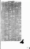 Runcorn Guardian Wednesday 10 March 1880 Page 3