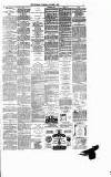 Runcorn Guardian Wednesday 06 October 1880 Page 7