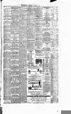 Runcorn Guardian Wednesday 18 January 1882 Page 7