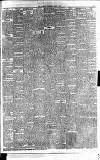 Runcorn Guardian Wednesday 01 April 1885 Page 3