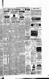 Runcorn Guardian Wednesday 15 August 1888 Page 7