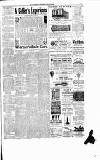 Runcorn Guardian Wednesday 26 June 1889 Page 7