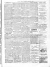 Eastern Mercury Tuesday 08 January 1889 Page 3
