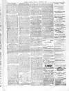 Eastern Mercury Tuesday 15 January 1889 Page 3