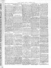 Eastern Mercury Tuesday 17 December 1889 Page 3