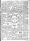 Eastern Mercury Tuesday 29 January 1895 Page 5
