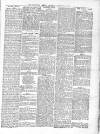 Middlesex Mercury Saturday 21 December 1895 Page 7