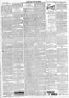 Finsbury Weekly News and Chronicle Saturday 05 March 1904 Page 3