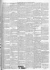 Finsbury Weekly News and Chronicle Saturday 23 July 1904 Page 3