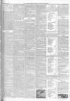 Finsbury Weekly News and Chronicle Saturday 20 August 1904 Page 7