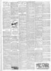 Finsbury Weekly News and Chronicle Saturday 12 November 1904 Page 7