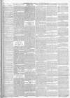 Finsbury Weekly News and Chronicle Saturday 13 August 1904 Page 3
