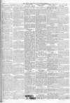 Finsbury Weekly News and Chronicle Saturday 27 August 1904 Page 3