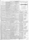 Finsbury Weekly News and Chronicle Saturday 24 September 1904 Page 7