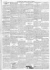 Finsbury Weekly News and Chronicle Saturday 15 October 1904 Page 3