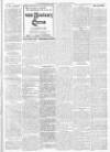 Finsbury Weekly News and Chronicle Saturday 29 October 1904 Page 3