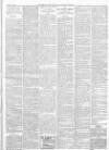 Finsbury Weekly News and Chronicle Saturday 29 October 1904 Page 7