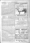 Wandsworth Borough News Friday 02 January 1914 Page 7