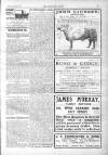 Wandsworth Borough News Friday 09 January 1914 Page 5