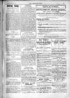 Wandsworth Borough News Friday 27 February 1914 Page 19