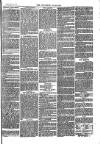 Southend Standard and Essex Weekly Advertiser Friday 23 May 1873 Page 7