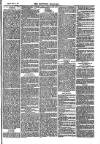 Southend Standard and Essex Weekly Advertiser Friday 11 July 1873 Page 5