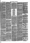 Southend Standard and Essex Weekly Advertiser Friday 11 July 1873 Page 7