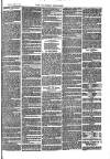 Southend Standard and Essex Weekly Advertiser Friday 18 July 1873 Page 7