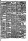 Southend Standard and Essex Weekly Advertiser Friday 25 July 1873 Page 7