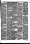 Southend Standard and Essex Weekly Advertiser Friday 19 December 1873 Page 3
