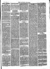 Southend Standard and Essex Weekly Advertiser Friday 03 April 1874 Page 7