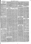 Southend Standard and Essex Weekly Advertiser Friday 15 May 1874 Page 5