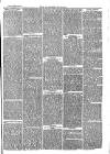 Southend Standard and Essex Weekly Advertiser Friday 21 August 1874 Page 3