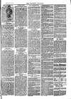 Southend Standard and Essex Weekly Advertiser Friday 25 September 1874 Page 7