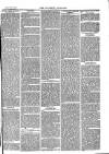 Southend Standard and Essex Weekly Advertiser Friday 20 November 1874 Page 3