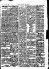 Southend Standard and Essex Weekly Advertiser Friday 01 January 1875 Page 3