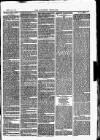 Southend Standard and Essex Weekly Advertiser Friday 10 September 1875 Page 7