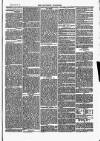 Southend Standard and Essex Weekly Advertiser Friday 22 January 1875 Page 7